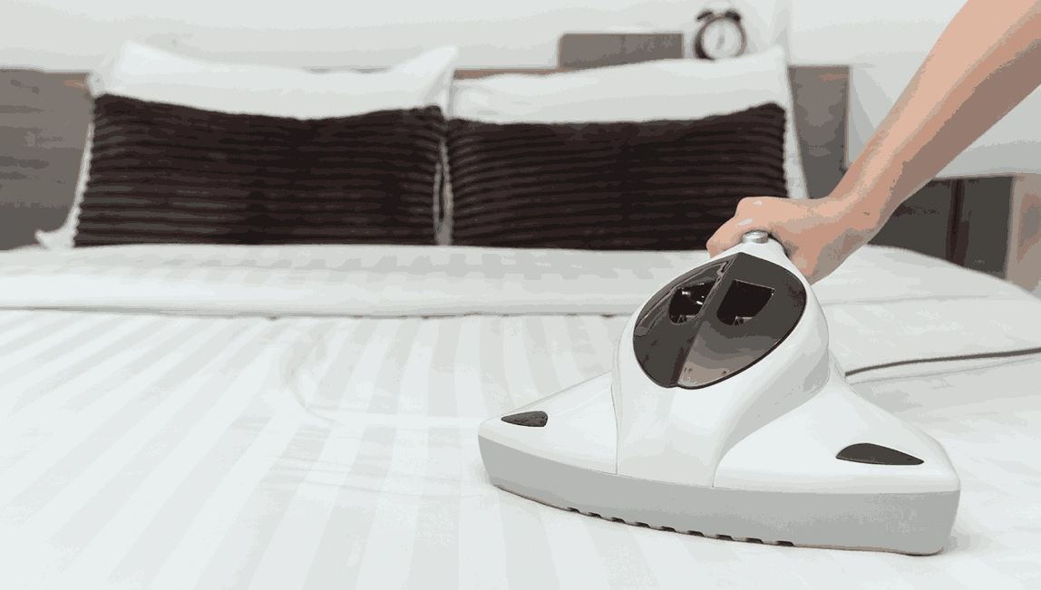 Professional Mattress Cleaning Brookfield